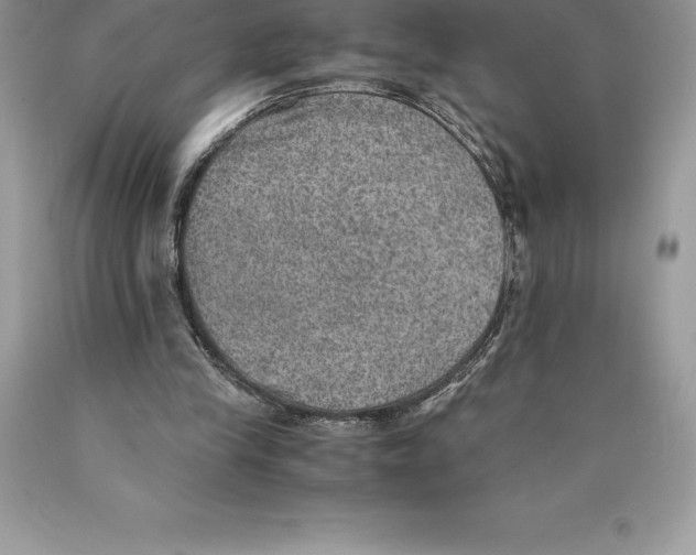 X0000089970245200707271927