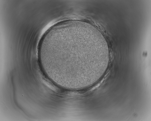 X0000089970246200707271927