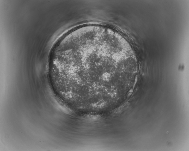 X0000089970247200707271927