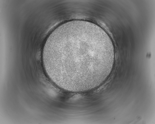 X0000089970249200707271927