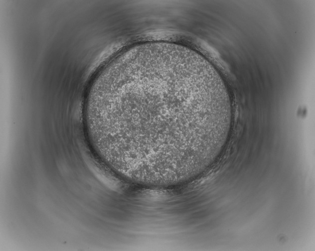 X0000089970250200707271927