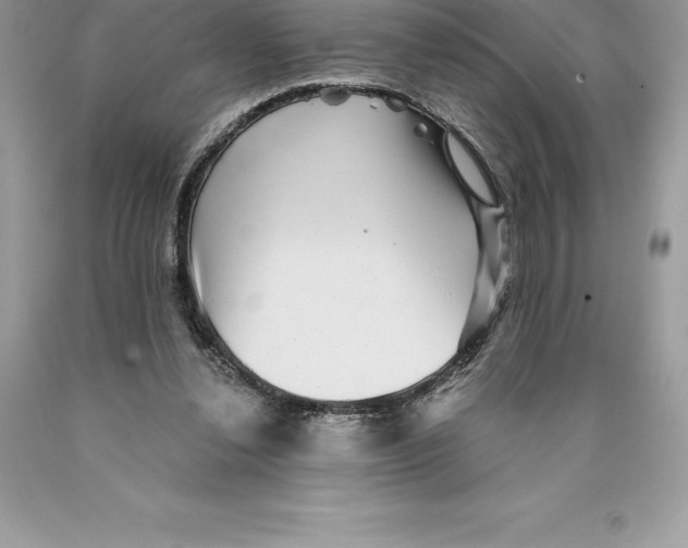 X0000089970252200707271927