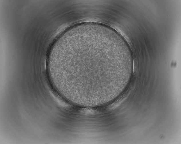 X0000089970253200707271927