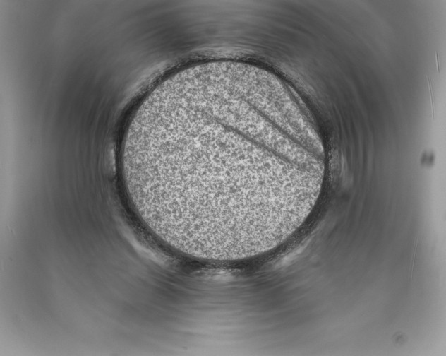 X0000089970254200707271927