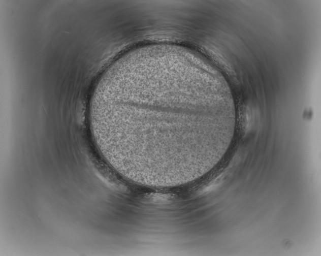 X0000089970255200707271927