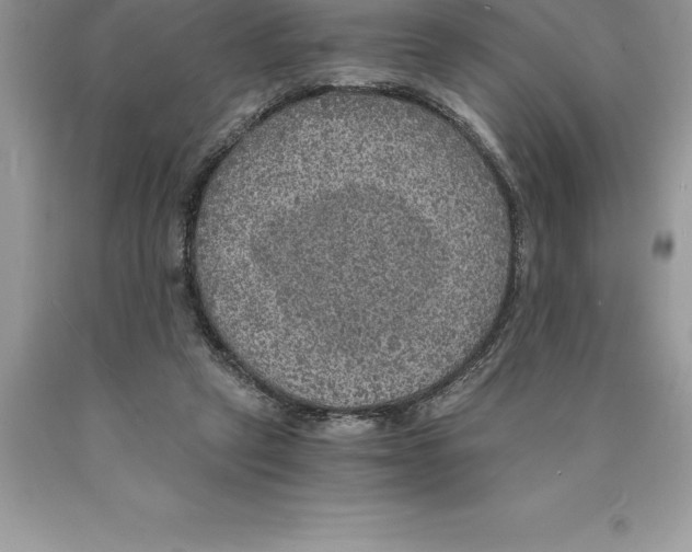 X0000089970257200707271927