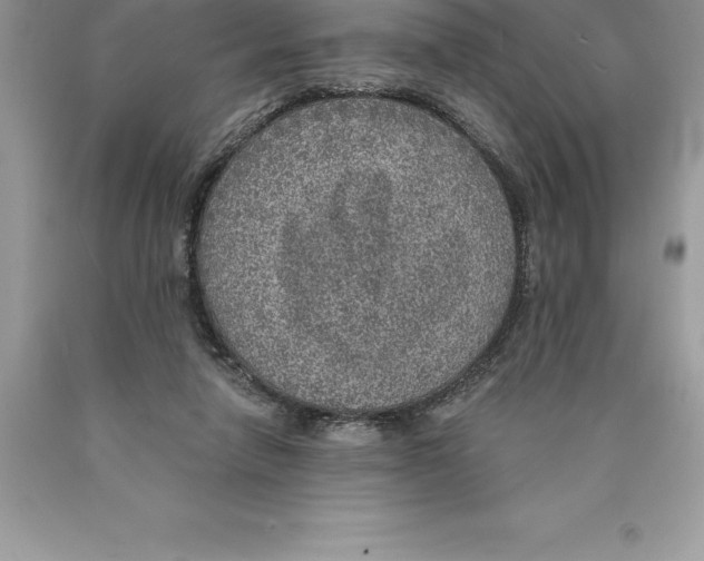 X0000089970258200707271927