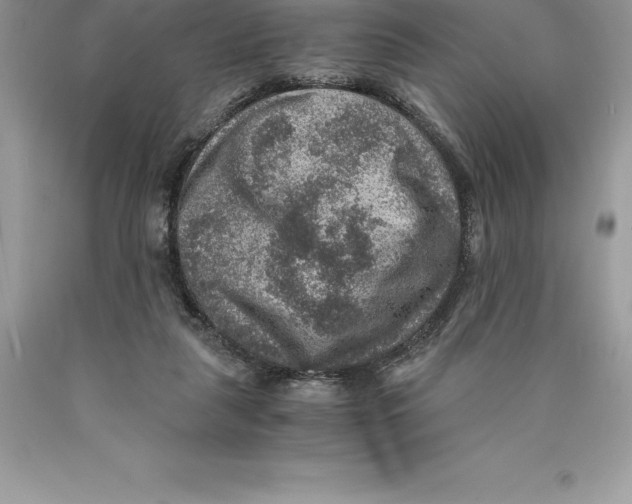 X0000089970259200707271927