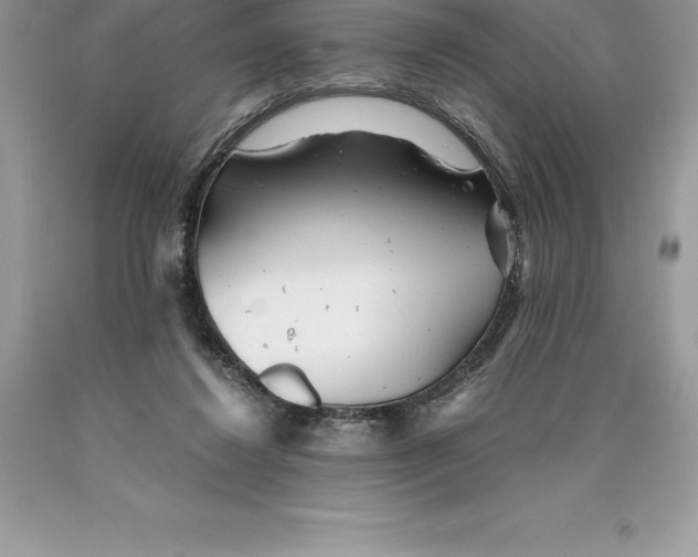 X0000089970260200707271927