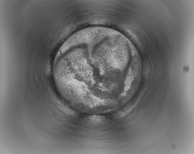 X0000089970261200707271927