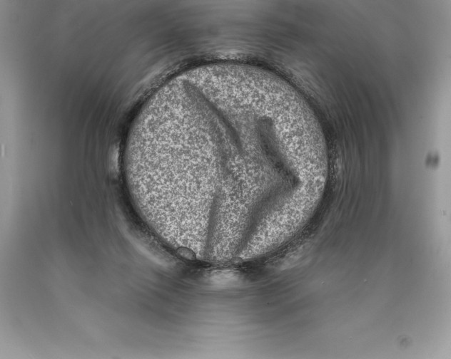 X0000089970262200707271927