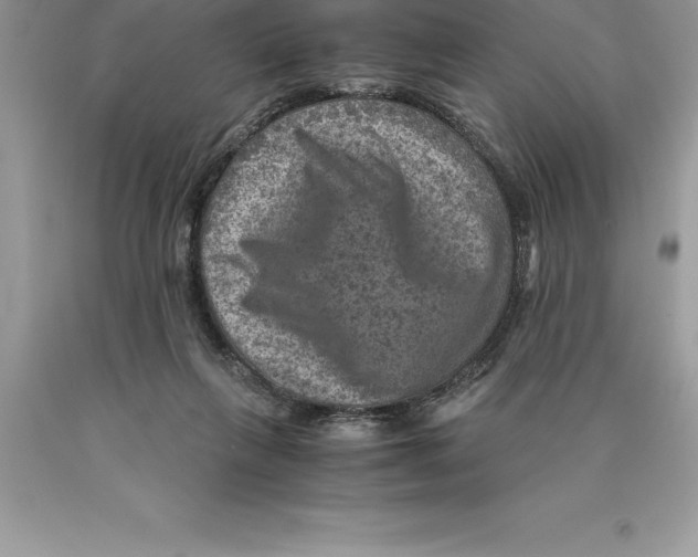 X0000089970263200707271927