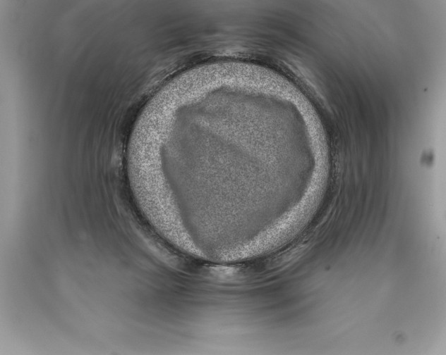 X0000089970265200707271927