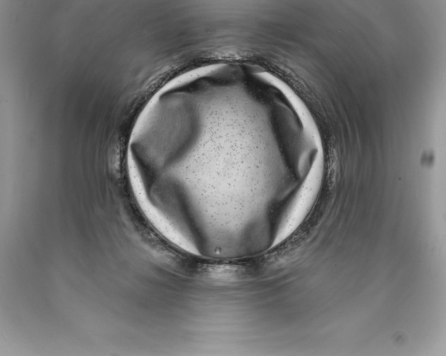 X0000089970268200707271927