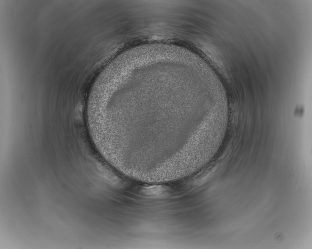 X0000089970269200707271927