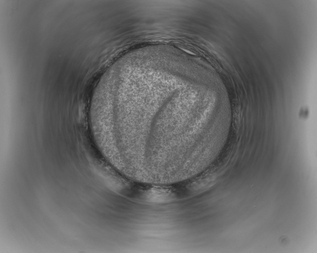 X0000089970270200707271927