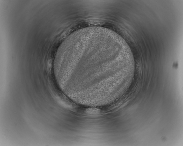 X0000089970271200707271927