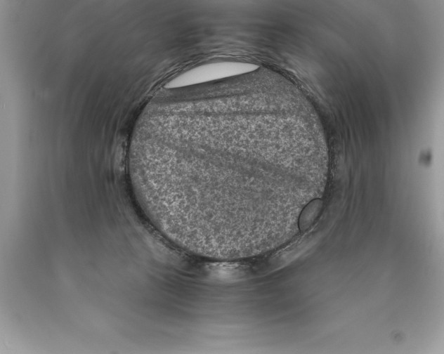 X0000089970273200707271927