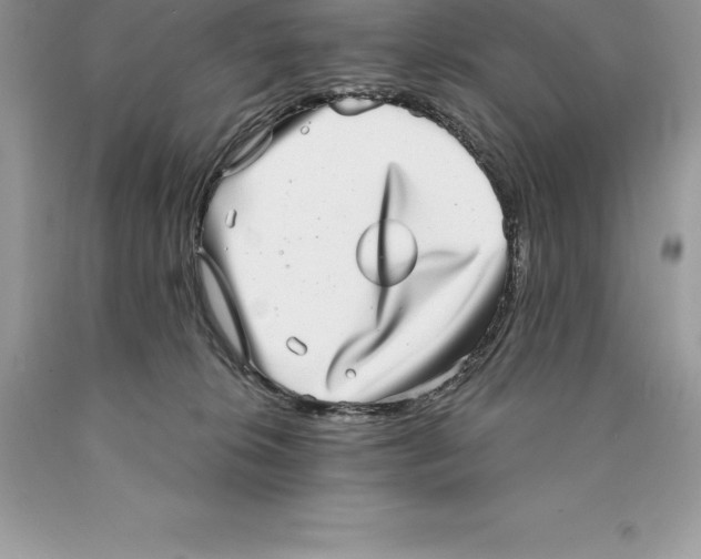 X0000089970276200707271927