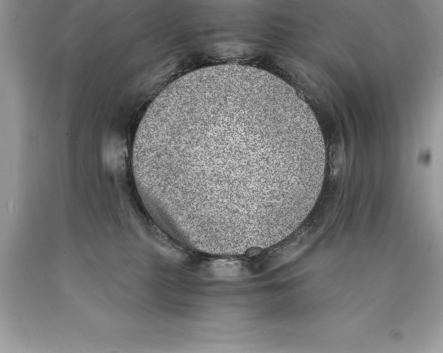 X0000089970279200707271928