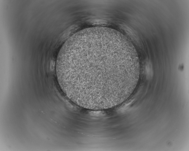 X0000089970281200707271928