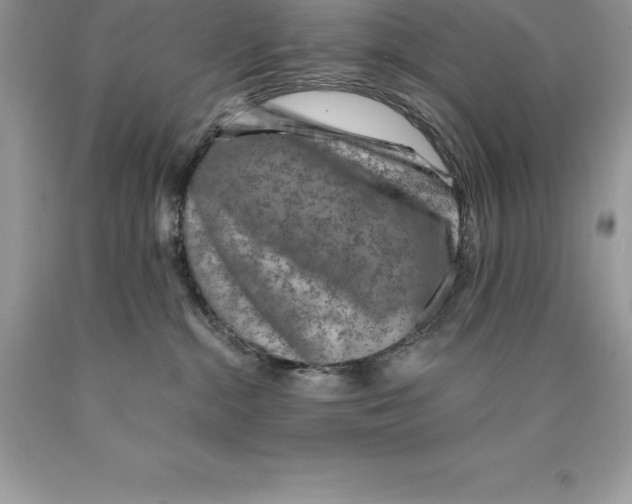 X0000089970284200707271928