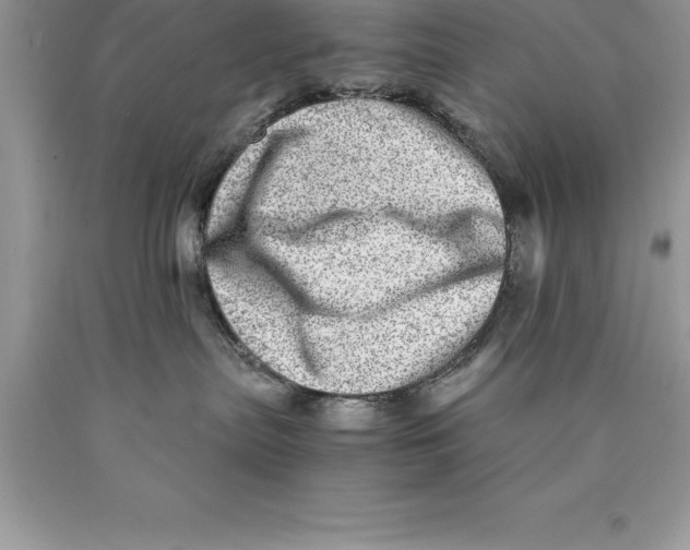 X0000089970287200707271928