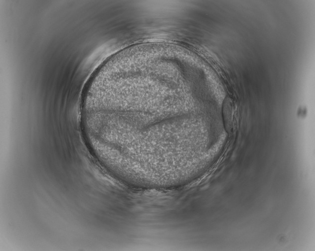 X0000089970290200707271927