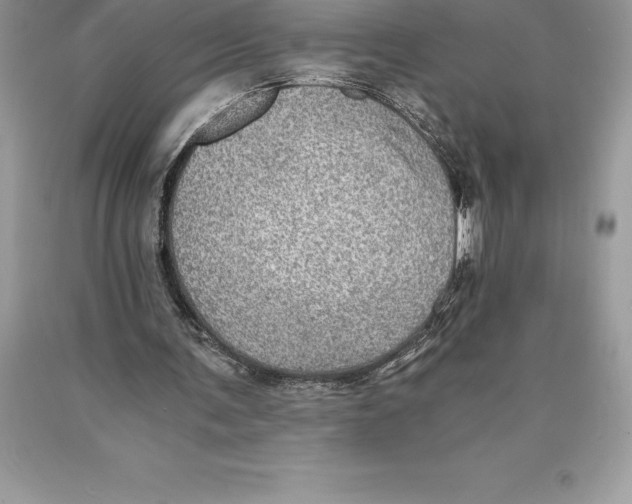 X0000089970291200707271927