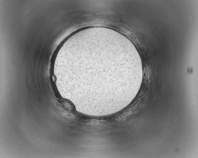 X0000089970292200707271927