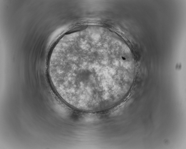 X0000089970293200707271927