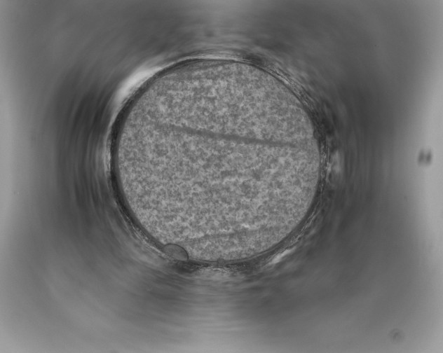 X0000089970294200707271927