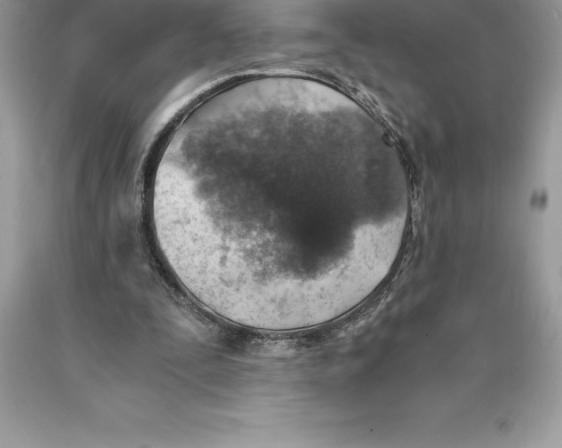 X0000089970295200707271927