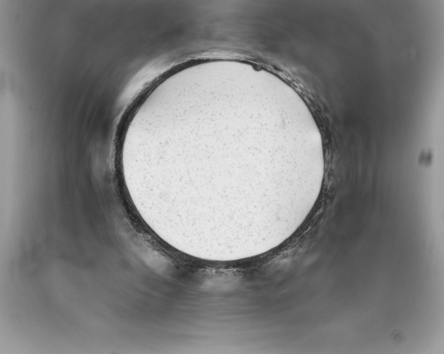 X0000089970296200707271927