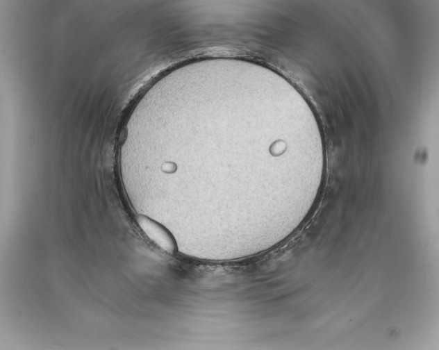 X0000089970297200707271927