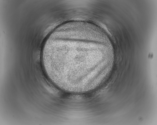 X0000089970299200707271927