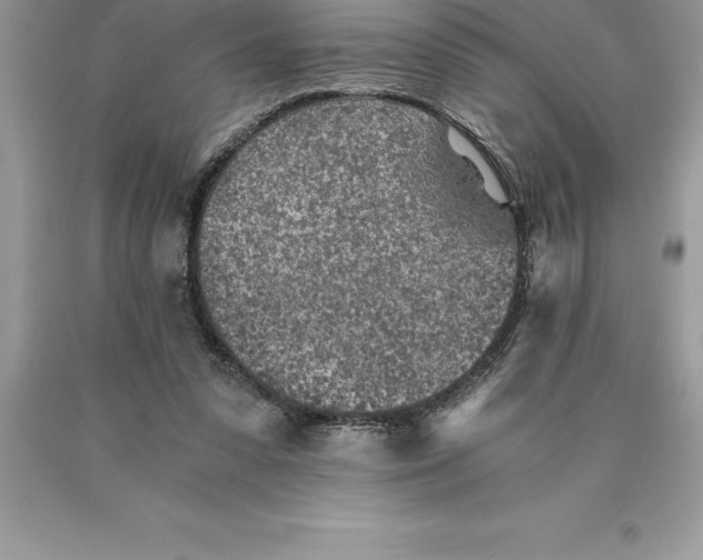 X0000089970303200707271927