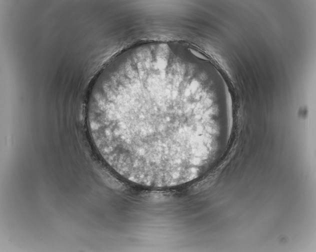 X0000089970305200707271927