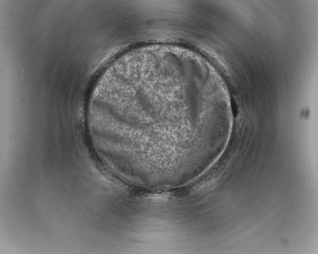 X0000089970306200707271927