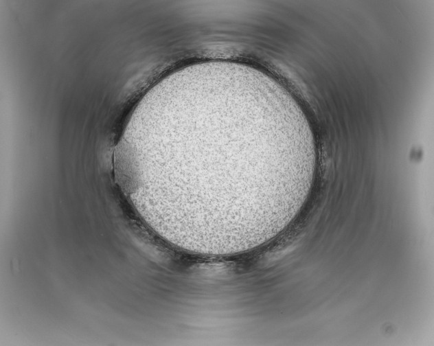 X0000089970307200707271927