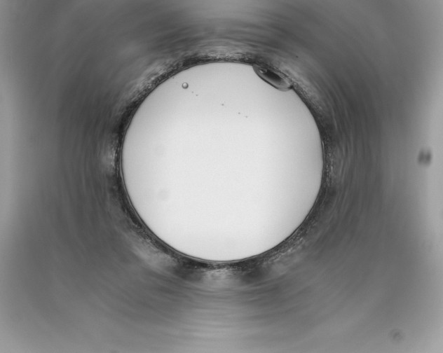 X0000089970309200707271927