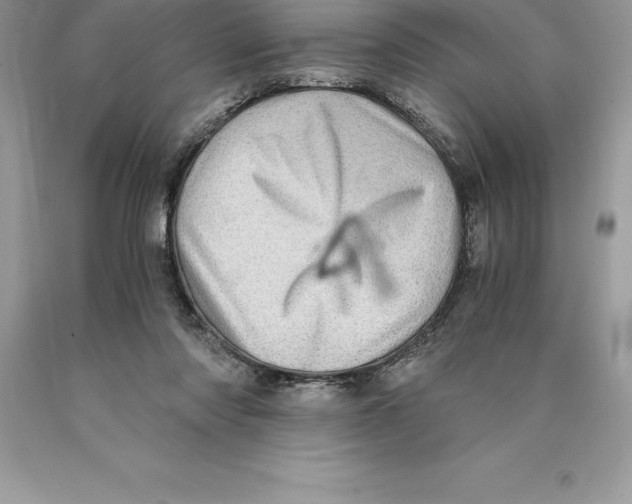 X0000089970310200707271927