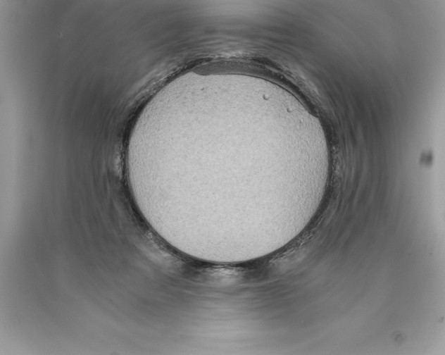 X0000089970313200707271927