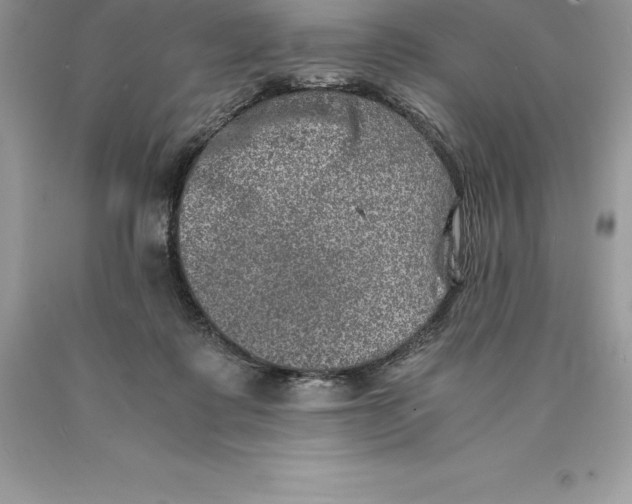 X0000089970315200707271927