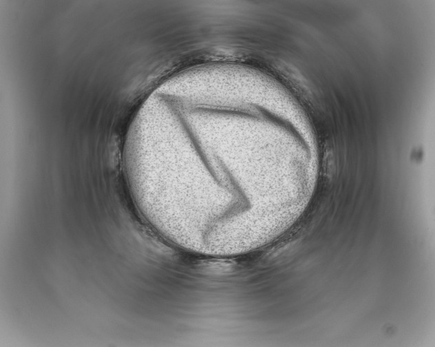 X0000089970318200707271927