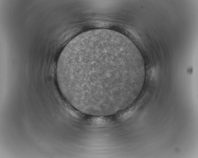 X0000089970325200707271927