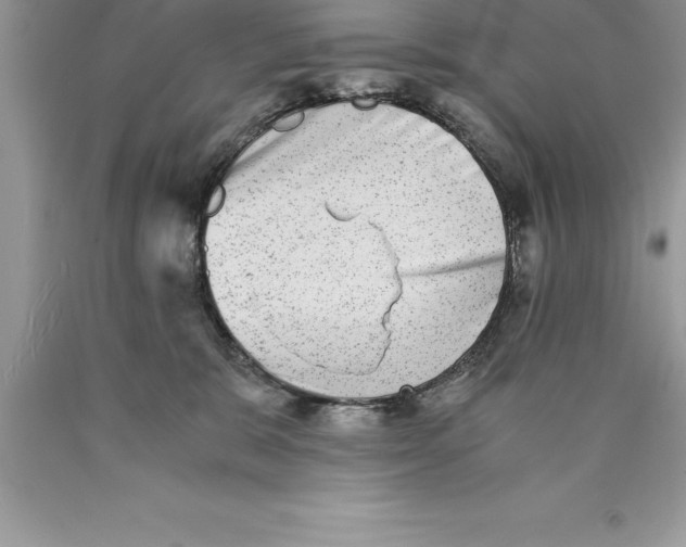 X0000089970327200707271927