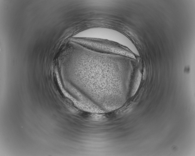 X0000089970333200707271926