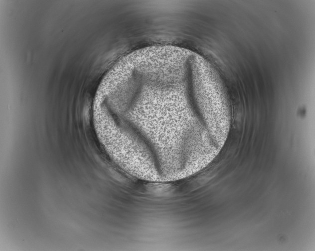 X0000089970334200707271926