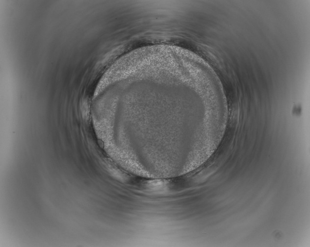 X0000089970335200707271926